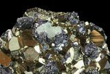 Gleaming Pyrite With Galena and Calcite Crystals - Peru #59596-1
